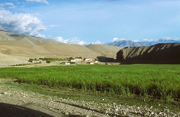 1998 - von Purang zum Kailash - West-Tibet: Landschaft