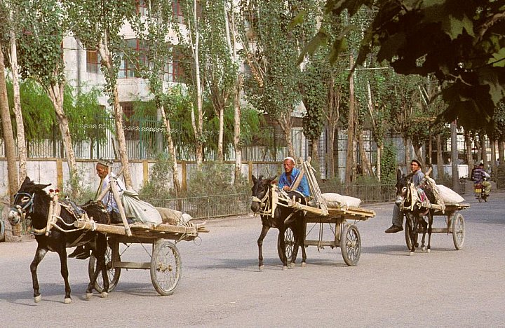 1998 - Uiguren unterwegs zum Sonntagsmarkt - China: Land und Leute