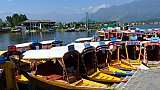 Shikharas am Ufer des Dal See - Jammu & Kashmir: Landschaft