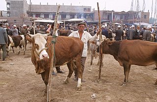 1998 - Viehmarkt in Kashgar - China: Land und Leute