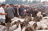 1998 - Viehmarkt in Kashgar - China: Land und Leute