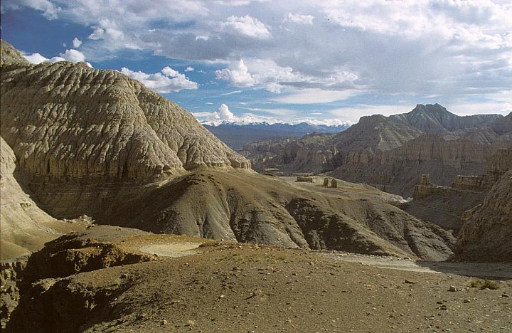 1998 - Sandstein-Erosionslandschaft bei Tsaparang - West-Tibet: Landschaft