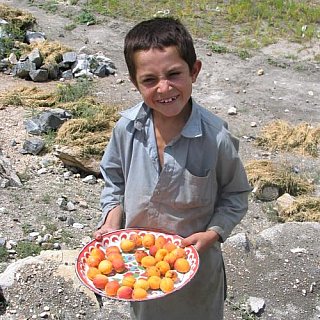 1998 - Hunza-Junge in Karimabad - Nord-Pakistan: Land und Leute