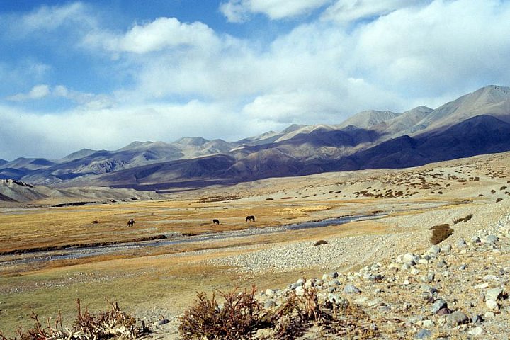 1992 - tibetisches Hochplateau in Westtibet - West-Tibet: Landschaft