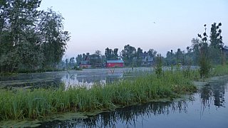 Idylle des Dal See am fr&uuml;hen Morgen - Jammu & Kashmir: Landschaft