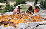 1998 - Hunza-Frauen in Pakistan - Nord-Pakistan: Land und Leute