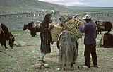 1998 - Beladen der Yaks - Tibet Blog