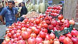 K&ouml;stliche Granat&auml;pfel aus dem Iran - Nord-Iran: Land und Leute