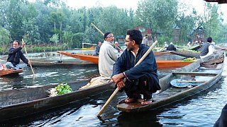 Schwimmender Markt auf dem Dal See - Jammu & Kashmir: Land und Leute