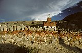 1998 - Manimaur mit Chorten in Thirtapuri - West-Tibet: Sehensw&uuml;rdigkeiten