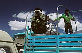 1998 - Pr&uuml;fende Blicke der Fahrer - Tibet Blog