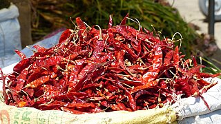 Rote getrocknete Chilli-Schoten - Jammu & Kashmir: Land und Leute