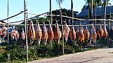 Hier wird Fisch getrocknet - West-Myanmar: Land und Leute