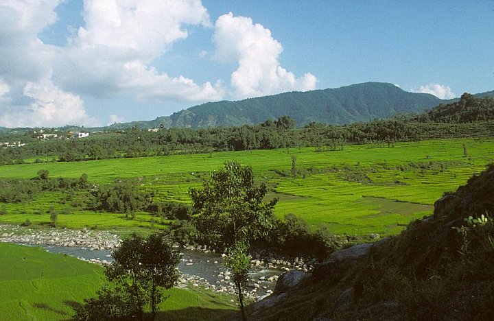 1998 - Tiefland in Pakistan - Nord-Pakistan: Landschaft