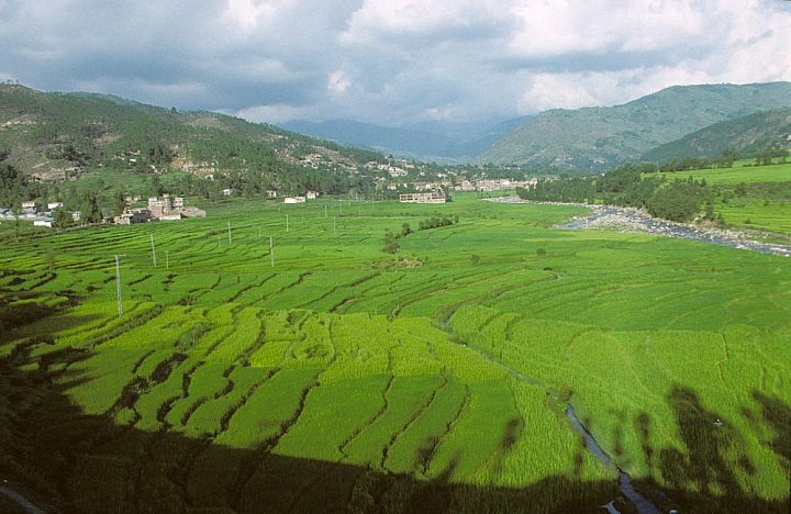1998 - Reisfelder im Tiefland von Pakistan - Nord-Pakistan: Landschaft