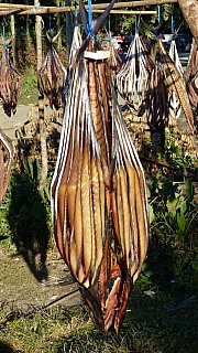 Fisch zum Trocknen aufgeh&auml;ngt - West-Myanmar: Land und Leute