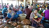 Fischmarkt in Sittwe - West-Myanmar: Land und Leute