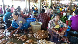 Fischmarkt in Sittwe - West-Myanmar: Land und Leute