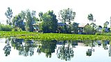 Insel im Dal See - Jammu & Kashmir: Landschaft