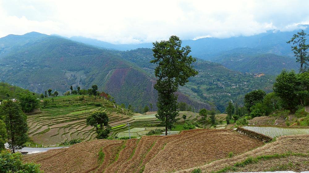2015 - Ostnepal bei Maina Pokhari - Ost-Nepal: Landschaft