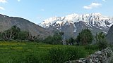 Gr&uuml;ne Felder vor schneebedecckten Bergen - Zanskar: Landschaft