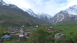Das Dorf Panikar umgeben von Feldern und schneebedeckten Bergen - Zanskar: Landschaft