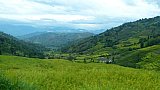 2015 - bestellte Terassenfelder im Langtang-Gebiet - Helambu-Langtang: Landschaft