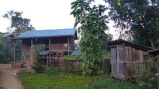 Stelzenhaus im Chin-Dorf - West-Myanmar: Land und Leute