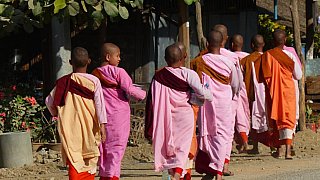 Nonnen auf ihrem Bittgang am Morgen - West-Myanmar: Land und Leute