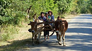 L&auml;ndlicher Verkehr - West-Myanmar: Land und Leute