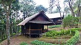 Bungalows im Oasis Eco Resort in Kamphelet - West-Myanmar: Essen & Schlafen