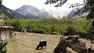Tibetisches Dorf am Fu&szlig; des Midui Gletschers - S&uuml;d-Ost-Tibet: Landschaft
