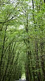 Gissom Jungle - Nord-Iran: Landschaft