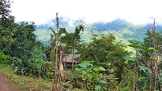 Haus am Berghang in den Chin Bergen - West-Myanmar: Land und Leute
