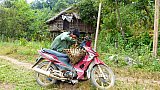 Motorrad zum H&uuml;hnertransport - West-Myanmar: Land und Leute