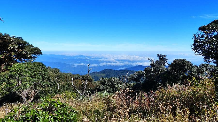 Blick vom Mt. Victoria in Richtung Osten - West-Myanmar: Landschaft