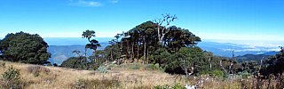Panoramablick vom Mt. Victoria - West-Myanmar: Landschaft