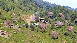 Chin-Dorf am Fu&szlig; des Mt. Victoria - West-Myanmar: Landschaft