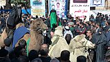 Kamel als Darsteller des Kampfgeschehens von Kerbala - Nord-Iran: Land und Leute