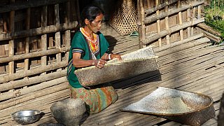 Chin-Dame bei der Reise-Auslese - West-Myanmar: Land und Leute