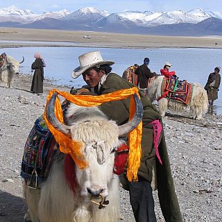 2006 - Tibetischer Nomade am Namtso - Zentral-Tibet: Land und Leute