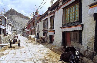 2006 - Altstadt von Gyantse - Zentral-Tibet: Land und Leute