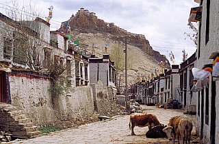2006 - urige Altstadtgasse in Gyantse - Zentral-Tibet: Land und Leute