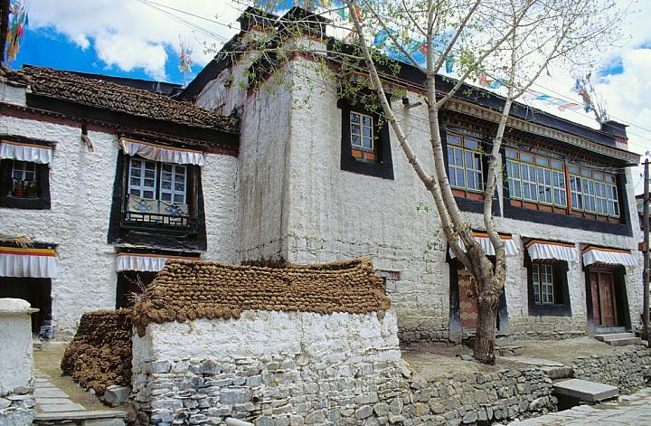 2006 - Kuhfladen in der Altstadt von Gyantse - Zentral-Tibet: Land und Leute