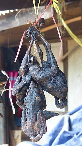 Gegrilltes und getrocknetes H&uuml;hnchen - West-Myanmar: Land und Leute