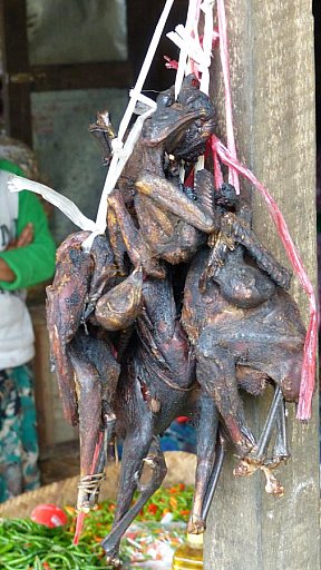 Gillenten auf dem Bazar in Mindat - West-Myanmar: Land und Leute