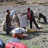2006 - Aufbruch zum Trekking - Beladen der Esel - Tibet Blog