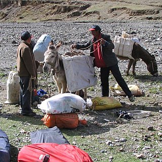 2006 - Aufbruch zum Trekking - Beladen der Esel - Tibet Blog