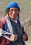 Spaziergang in der Abendsonne - Ladakh: Land-und-Leute