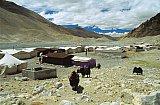 2006 - Touristen Basecamp Mt. Everest in Tibet - Zentral-Tibet: Landschaft